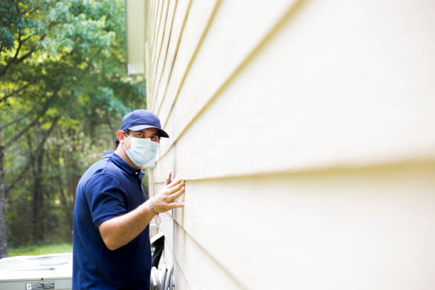 Professional Siding in Stallion Springs, CA